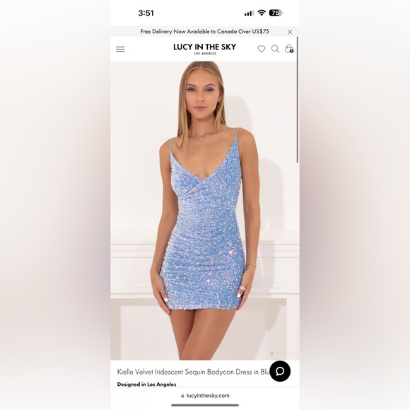 Lucy in the Sky Kielle velvet iridescent dress - Picture 4 of 4